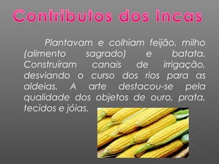 Plantavam e colhiam feijão, milho
(alimento sagrado) e batata.
Construíram canais de irrigação,
desviando o curso dos rios para as
aldeias. A arte destacou-se pela
qualidade dos objetos de ouro, prata,
tecidos e jóias. 
 