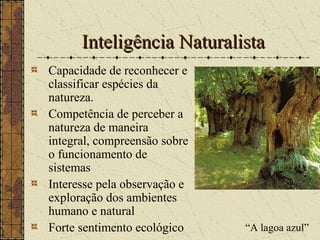 Inteligência NaturalistaInteligência Naturalista
Capacidade de reconhecer e
classificar espécies da
natureza.
Competência de perceber a
natureza de maneira
integral, compreensão sobre
o funcionamento de
sistemas
Interesse pela observação e
exploração dos ambientes
humano e natural
Forte sentimento ecológico “A lagoa azul”
 