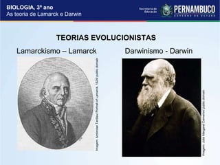 As teorias de Lamarck e Darwin. Evolução | PPTX