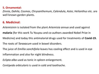 5. Ornamental:
Zinnia, Dahila, Cosmos, Chrysanthemum, Calendula, Aster, Helianthus etc. are
well known garden plants.
6. Medicinal:
Artemisinin is isolated from the plant Artemisia annua and used against
malaria (for this work Tu Youyou and co-authors awarded Nobel Prize in
Medicine) and today this antimalarial drugs used for treatments of Covid-19.
The roots of Taraxacum used in bowel disorders.
The juice of Emillia sonchifolia leaves has cooling effect and is used in eye
inflammation and also for night blindness.
Eclipta alba used as tonic in spleen enlargement.
Centipeda orbicularis is used in cold and toothache.
 
