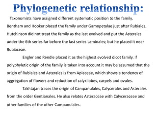 Taxonomists have assigned different systematic position to the family.
Bentham and Hooker placed the family under Gamopetalae just after Rubiales.
Hutchinson did not treat the family as the last evolved and put the Asterales
under the 6th series far before the last series Laminales; but he placed it near
Rubiaceae.
Engler and Rendle placed it as the highest evolved dicot family. If
polyphyletic origin of the family is taken into account it may be assumed that the
origin of Rubiales and Asterales is from Apiaceae, which shows a tendency of
aggregation of flowers and reduction of calyx lobes, carpels and ovules.
Takhtajan traces the origin of Campanulales, Calycerales and Asterales
from the order Gentianales. He also relates Asteraceae with Calyceraceae and
other families of the other Campanulales.
 