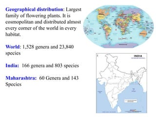 Geographical distribution: Largest
family of flowering plants. It is
cosmopolitan and distributed almost
every corner of the world in every
habitat.
World: 1,528 genera and 23,840
species
India: 166 genera and 803 species
Maharashtra: 60 Genera and 143
Species
 