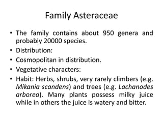 Family Asteraceae
• The family contains about 950 genera and
probably 20000 species.
• Distribution:
• Cosmopolitan in distribution.
• Vegetative characters:
• Habit: Herbs, shrubs, very rarely climbers (e.g.
Mikania scandens) and trees (e.g. Lachanodes
arborea). Many plants possess milky juice
while in others the juice is watery and bitter.
 