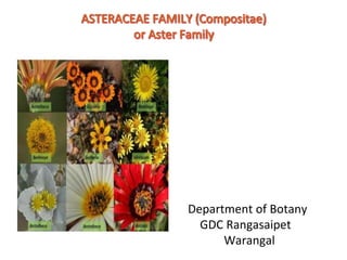 Department of Botany
GDC Rangasaipet
Warangal
 