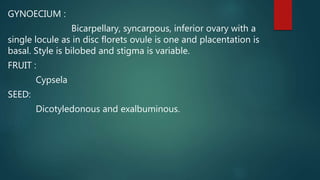 GYNOECIUM :
Bicarpellary, syncarpous, inferior ovary with a
single locule as in disc florets ovule is one and placentation is
basal. Style is bilobed and stigma is variable.
FRUIT :
Cypsela
SEED:
Dicotyledonous and exalbuminous.
 