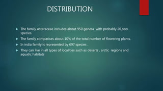 DISTRIBUTION
 The family Asteraceae includes about 950 genera with probably 20,ooo
species.
 The family comparises about 10% of the total number of flowering plants.
 In india family is represented by 697 species .
 They can live in all types of localities such as deserts , arctic regions and
aquatic habitats
 