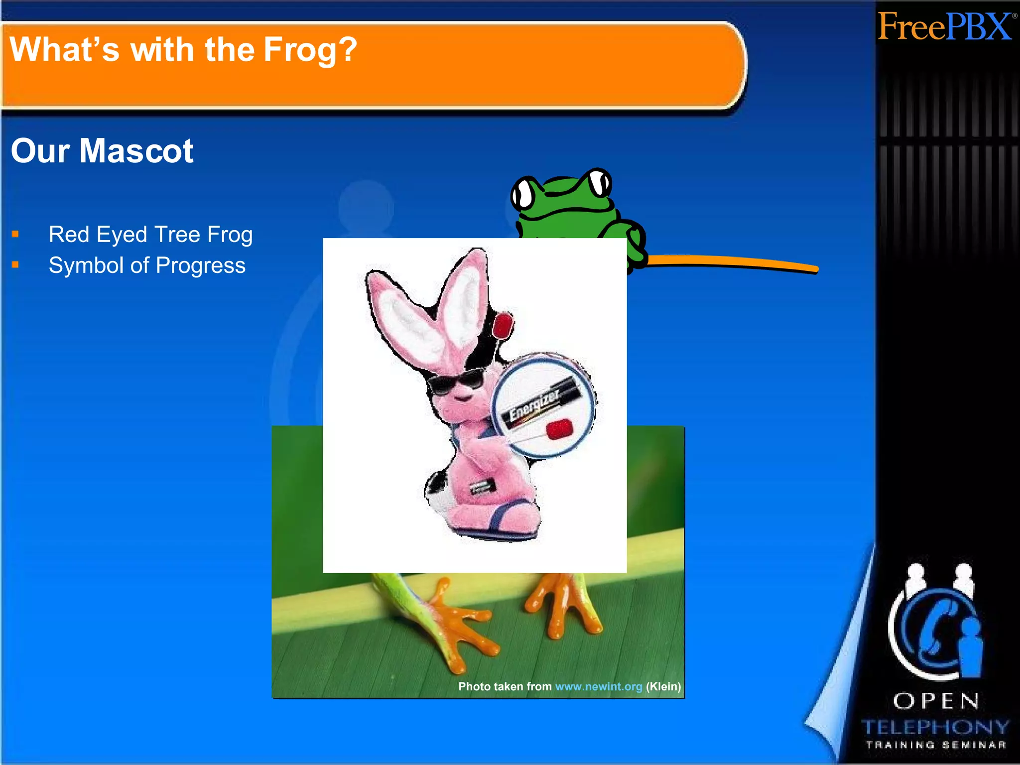 Our Mascot Red Eyed Tree Frog Symbol of Progress What’s with the Frog? Photo taken from  www.newint.org  (Klein) 