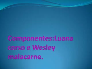 Componentes:Luana  corso e Wesley  malacarne.