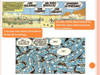 En esta viñeta observamos los
distintos tipos deformaciones
que nombran.
Y en esta otra vemos formada la
forma de la tortuga.
 
