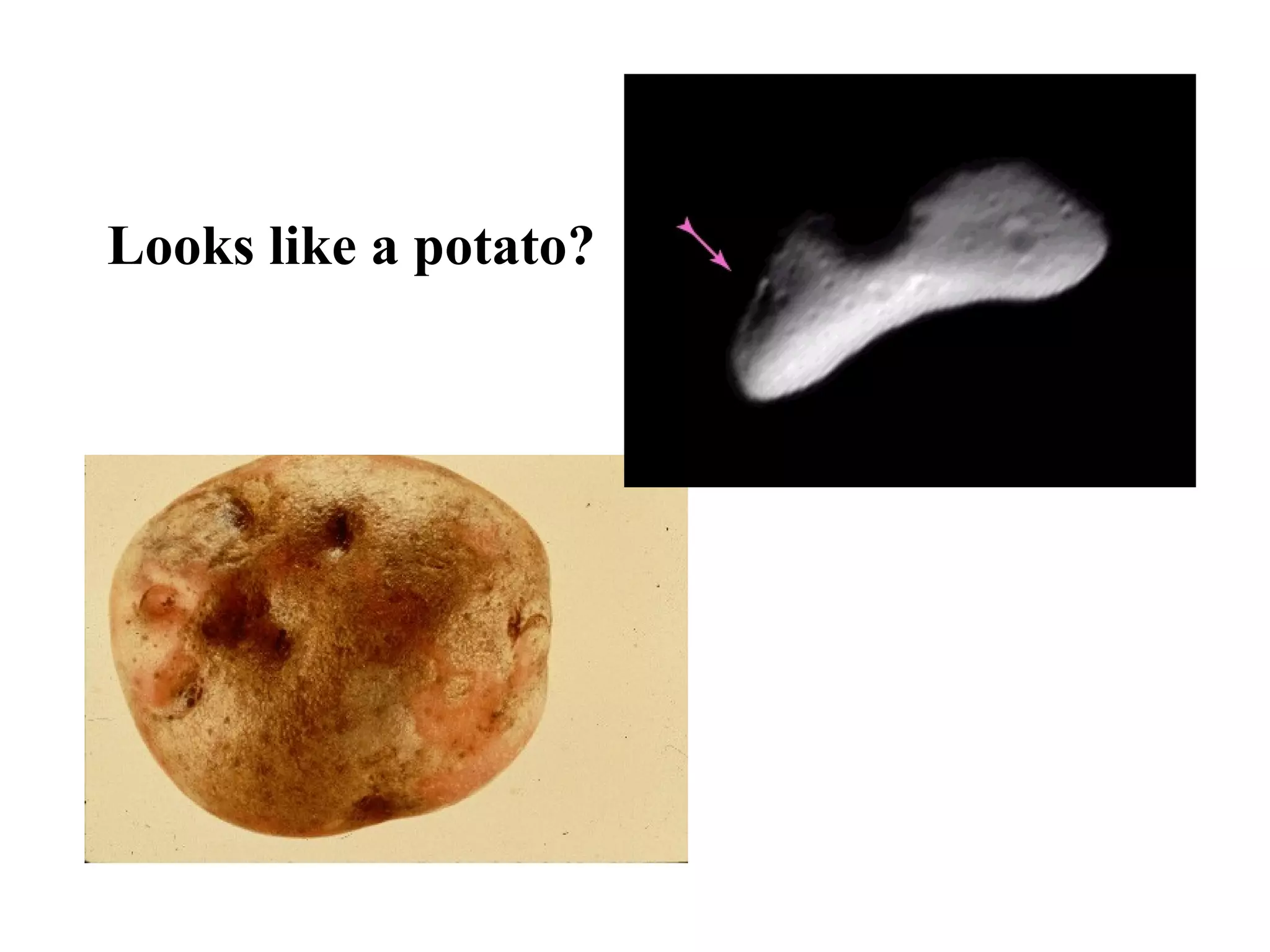 Looks like a potato?
 