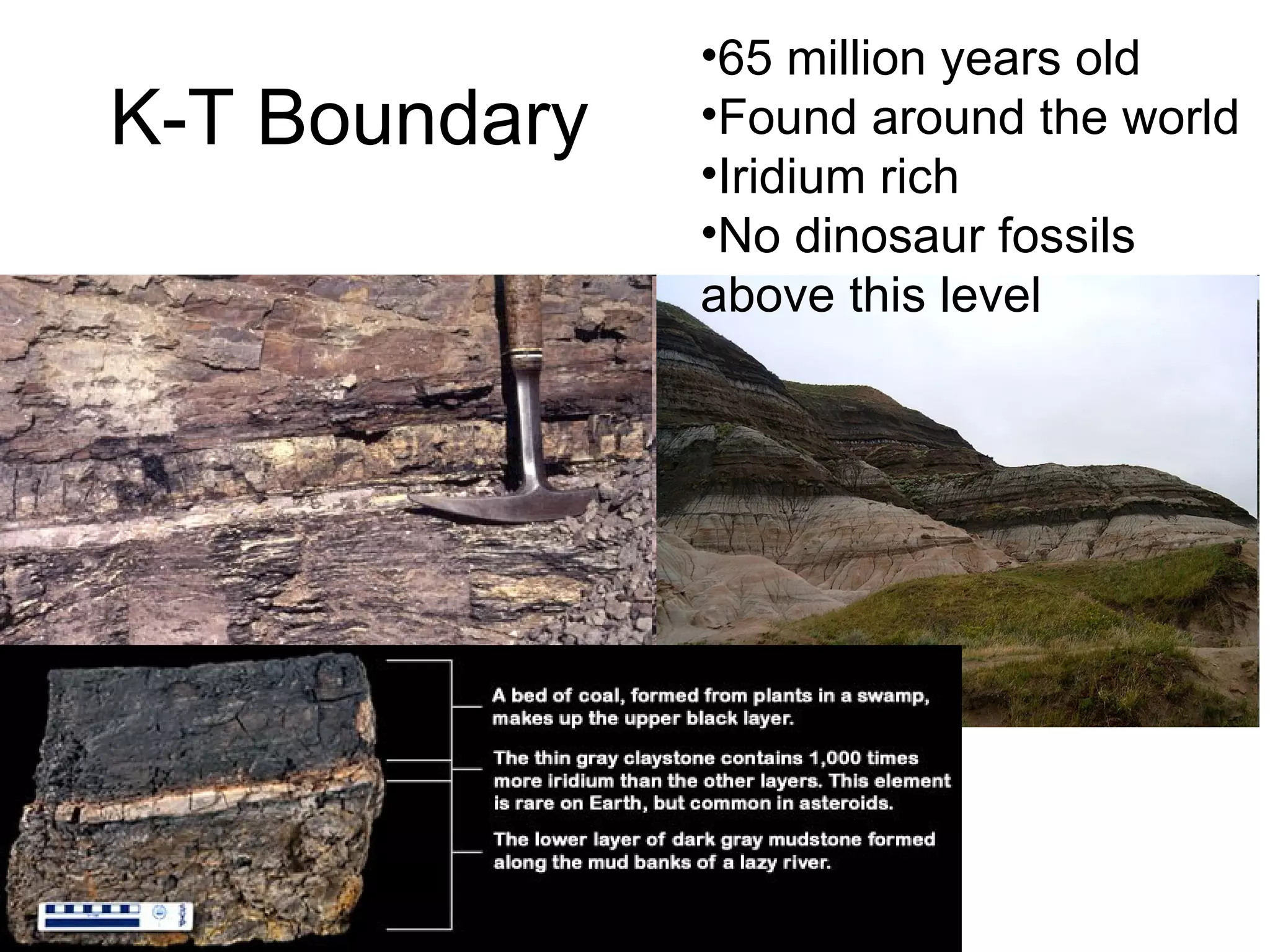 K-T Boundary 65 million years old Found around the world Iridium rich No dinosaur fossils above this level 