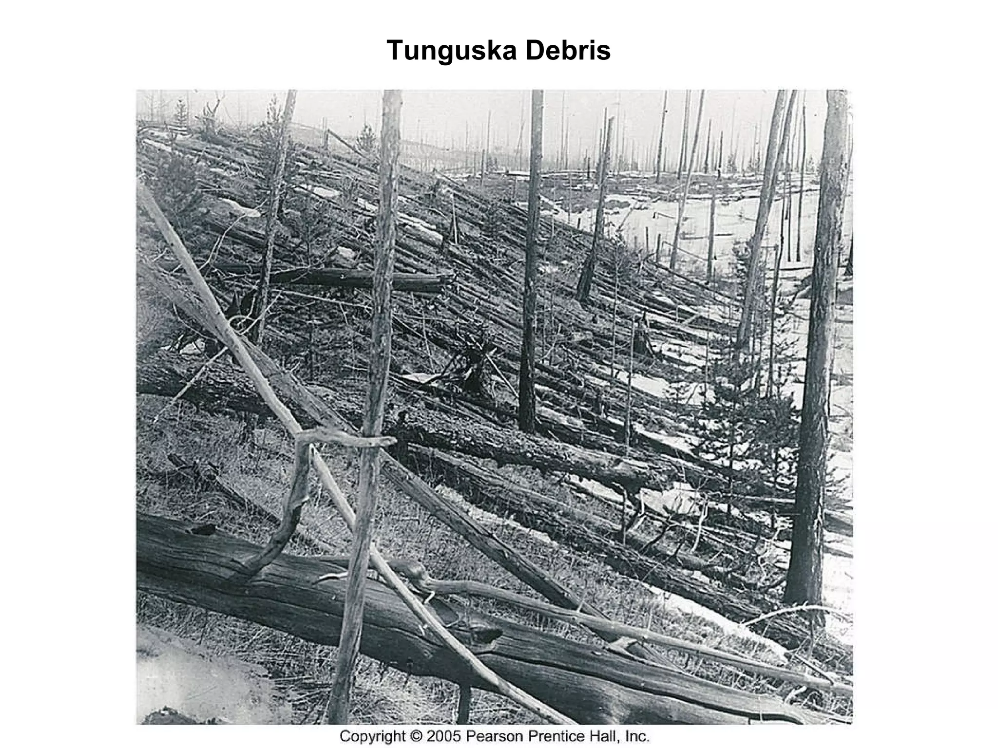 Tunguska Debris 
