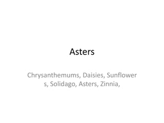 Asters

Chrysanthemums, Daisies, Sunflower
     s, Solidago, Asters, Zinnia,
 