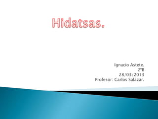 Ignacio Astete.
2ºB
28/03/2013
Profesor: Carlos Salazar.
 