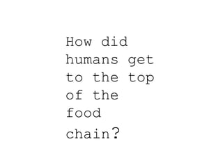 How did
humans get
to the top
of the
food
chain?
 