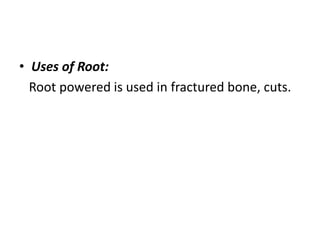 • Uses of Root: 
Root powered is used in fractured bone, cuts. 
 