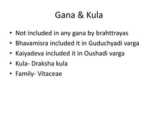 Gana & Kula 
• Not included in any gana by brahttrayas 
• Bhavamisra included it in Guduchyadi varga 
• Kaiyadeva included it in Oushadi varga 
• Kula- Draksha kula 
• Family- Vitaceae 
 