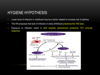 HYGIENE HYPOTHESIS
• Lower level of infection in childhood may be a factor related to increase risk of asthma.
• The HH proposes that lack of infection in early childhood preserves the TH2 bias.
• Exposure to infection result in shift towards predominant protective Th1 immune
response.
 