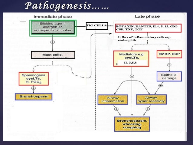 asthma intrinsic asthma Several forms of asthma— extrinsic asthma (allergic asthma), intrinsic asthma (nonallergic asthma), drug-induced asthma, exercise-induced asthma, and occupational asthma—are recognized the number of adults (aged 18 years and older) in the united states who have asthma is 177 million. asthma intrinsic asthma Several forms of asthma— extrinsic asthma (allergic asthma), intrinsic asthma (nonallergic asthma), drug-induced asthma, exercise-induced asthma, and occupational asthma—are recognized the number of adults (aged 18 years and older) in the united states who have asthma is 177 million.