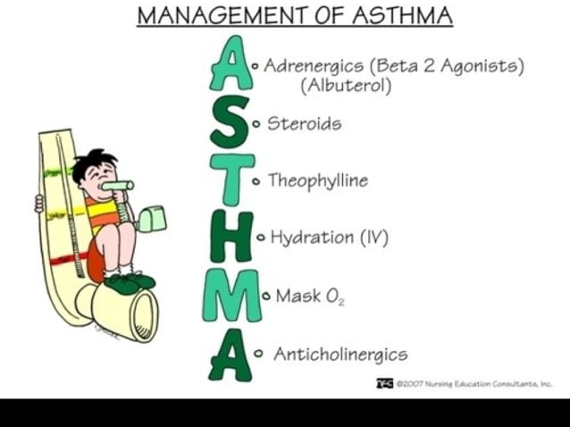 Asthma and COPD | PPT | Lung and Respiratory Health | Diseases and ...