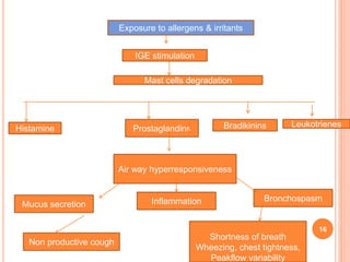 16
Exposure to allergens & irritants
IGE stimulation
Mast cells degradation
Histamine Prostaglandins Bradikinins Leukotrienes
Air way hyperresponsiveness
Mucus secretion
BronchospasmInflammation
Non productive cough
Shortness of breath
Wheezing, chest tightness,
Peakflow variability
 