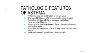 PATHOLOGIC FEATURES
OF ASTHMA
i. Inflammatory cell infiltration of the airways
ii. Increased thickness of the bronchial smooth muscle
iii. Partial or full loss of the respiratory epithelium
iv. Subepithelial fibrosis
v. Hypertrophy and hyperplasia of the submucosal glands
and goblet cells
vi. Partial or full occlusion of the airway lumen by mucous
plugs
vii. Enlarged mucous glands and blood vessels
ASTHMA 16
 