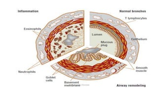 @ Dr. Prasad B. Chinchole
 