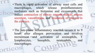• There is rapid activation of airway mast cells and
macrophages, which release proinflammatory
mediators such as histamine and eicosanoids that
induce contraction of airway smooth muscle, mucus
secretion, vasodilation, and exudation of plasma in
the airways.
• The late-phase inflammatory reaction occurs 6 to 9
hours after allergen provocation and involves
recruitment and activation of eosinophils, T
lymphocytes, basophils, neutrophils, and
macrophages.
@ Dr. Prasad B. Chinchole
 
