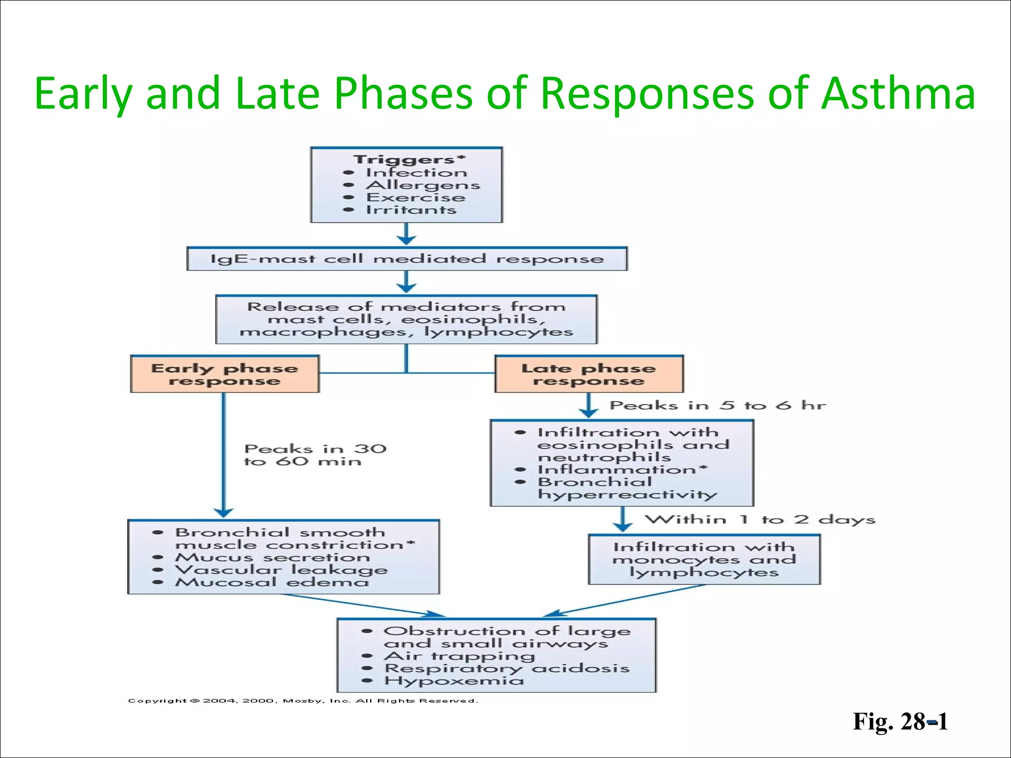 Early and Late Phases of Responses of Asthma
Fig. 28--1
 