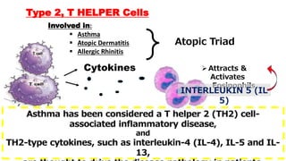 Asthma has been considered a T helper 2 (TH2) cell-
associated inflammatory disease,
and
TH2-type cytokines, such as interleukin-4 (IL-4), IL-5 and IL-
13,
Cytokines Attracts &
Activates
Eosinophils
Type 2, T HELPER Cells
Involved in:
 Asthma
 Atopic Dermatitis
 Allergic Rhinitis
Atopic Triad
INTERLEUKIN 5 (IL
5)
 