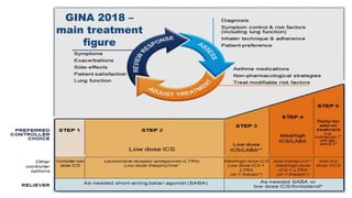 GINA 2018 –
main treatment
figure
 