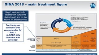 © Global Initiative for Asthma, www.ginasthma.org
GINA 2018 – main treatment figure
Step 1 treatment is for
patients with symptoms
<twice/month and no risk
factors for exacerbations
Previously, no
controller was
recommended for
Step 1,
i.e. SABA-only
treatment was
‘preferred’
 