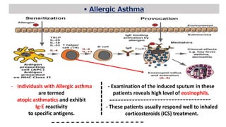 - Individuals with Allergic asthma
are termed
atopic asthmatics and exhibit
Ig-E reactivity
to specific antigens.
 Allergic Asthma
- Examination of the induced sputum in these
patients reveals high level of eosinophils.
- These patients usually respond well to inhaled
corticosteroids (ICS) treatment.
 