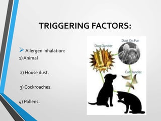 TRIGGERING FACTORS:
Allergen inhalation:
1) Animal
2) House dust.
3) Cockroaches.
4) Pollens.
 