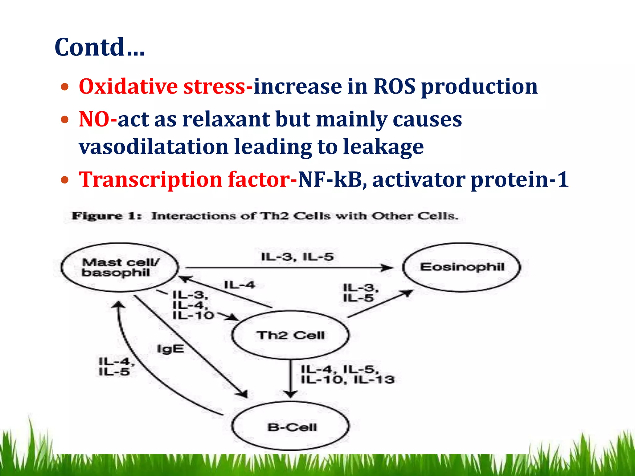 Contd…
 Oxidative stress-increase in ROS production
 NO-act as relaxant but mainly causes
vasodilatation leading to leakage
 Transcription factor-NF-kB, activator protein-1
 