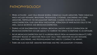 PATHOPHYSIOLOGY
• WHEN ACTIVATED , MAST CELLS RELEASE SEVERAL CHEMICALS CALLED MEDIATORS. THESE CHEMICALS,
WHICH INCLUDE HISTAMINE, BRADYKININ, PROSTANOIDS, CYTOKINES, LEUKOTRIENES AND OTHER
MEDIATORS, PERPETUATE THE INFLAMMATORY RESPONSE, CAUSING INCREASED BLOOD FLOW,
VASOCONSTRICTION, FLUID LEAK FROM VASCULATURE, ATTRACTION OF WHITE BLOOD CELLS TO THE
AREA, MUCUS SECRETION AND BRONCHOCONSTRICTION.
• DURING ACUTE EXACERBATIONS OF ASTHMA, BRONCHIAL SMOOTH MUSCLE CONTRACTION OR
BRONCHOCONSTRICTION OCCURS QUICKLY TO NARROW THE AIRWAY IN RESPONSE TO AN EXPOSURE.
• ACUTE BRONCHOCONSTRICTION DUE TO ALLERGENS RESULTS FROM AN IMMUNOGLOBULIN E ( IGE)-
DEPENDENT RELEASE OF MEDIATORS FROM MAST CELLS; THESE MEDIATORS INCLUDE HISTAMINE,
TRYPTASE, LEUKOTRIENES, AND PROSTAGLANDINS THAT DIRECTLY CONTRACT THE AIRWAY.
• THERE ARE ALSO NON IGE- MEDIATED RESPONSES AND PRO -INFLAMMATORY CYTOKINES.
 