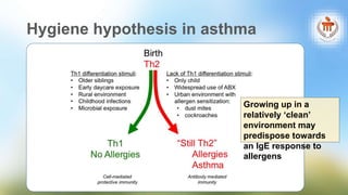 Too Clean Hypothesis Examples Bronchial Asthma - Epidemiology, Pathogenesis and Management | PPTX