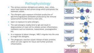 Pathophysiology
 The various common allergens are pollens, dust, mites,
some food material and certain drugs which precipitate the
asthmatic attack.
 The allergens upon exposure stimulate production of
IgE(immunoglobulins-antibodies produced by the immune
system)which further bind to mast cells.
 Upon re-exposure to same allergen,
 The said allergens readily bind to IgE and result in
degranulation of mast cell to release certain inflammatory
mediators such as histamine, leukotrienes, prostaglandins
etc.
 In a response to above changes, WBC’s migrate into the area
to engulf the allergens.
 The phagocytic reaction causes release of basic proteins
which are lytic agents for tissue and further promote
inflammation.
 