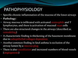 PATHOPHYSIOLOGY
• Specific chronic inflammation of the mucosa of the lower airways
• Pathology:
• Airway mucosa is infiltrated with activated eosinophils and T
lymphocytes, and there is activation of mucosal mast cells
• There are also structural changes in the airways (described as
remodeling)
• A characteristic finding is thickening of the basement membrane
due to subepithelial collagen deposition
• Another common finding in fatal asthma is occlusion of the
airway lumen by a mucous plug
• There is also vasodilation and increased numbers of blood vessels
(angiogenesis)
 