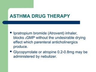ASTHMA DRUG THERAPY
 Ipratropium bromide (Atrovent) inhaler,
blocks cGMP without the undesirable drying
effect which parenteral anticholinergics
produce.
 Glycopyrrolate or atropine 0.2-0.8mg may be
administered by nebulizer.
 