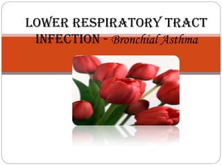 Lower respiratory tract
infection - Bronchial Asthma
 