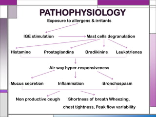 PATHOPHYSIOLOGY
Exposure to allergens & irritants
IGE stimulation Mast cells degranulation
Histamine Prostaglandins Bradikinins Leukotrienes
Air way hyper-responsiveness
Mucus secretion Inflammation Bronchospasm
Non productive cough Shortness of breath Wheezing,
chest tightness, Peak flow variability
 