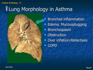 Lung Morphology in Asthma Bronchial inflammation Edema, Mucousplugging Bronchospasm Obstruction Over inflation/Atelectasis COPD 06/16/09 