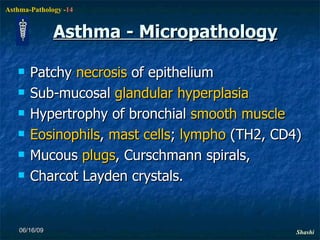 Asthma - Micropathology Patchy  necrosis  of epithelium Sub-mucosal  glandular   hyperplasia Hypertrophy of bronchial  smooth   muscle Eosinophils ,  mast   cells ;  lympho  (TH2, CD4)  Mucous  plugs , Curschmann spirals, Charcot Layden crystals. 06/16/09 