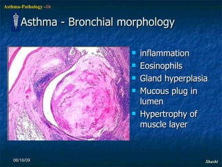 Asthma - Bronchial morphology inflammation  Eosinophils Gland hyperplasia Mucous plug in lumen Hypertrophy of muscle layer 06/16/09 