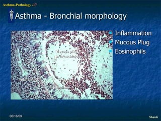 Asthma - Bronchial morphology Inflammation Mucous Plug Eosinophils 06/16/09 