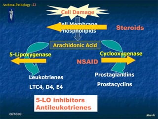 06/16/09 5-LO inhibitors Antileukotrienes Arachidonic Acid Leukotrienes LTC4, D4, E4 Cyclooxygenase 5-Lipoxygenase Prostaglandins Prostacyclins Cell Damage Cell Membrane Phospholipids Steroids NSAID 