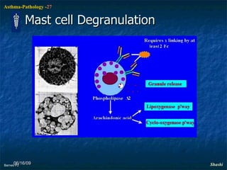 06/16/09 Mast cell Degranulation Barnes PJ 