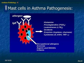 Mast cells in Asthma Pathogenesis: 06/16/09 