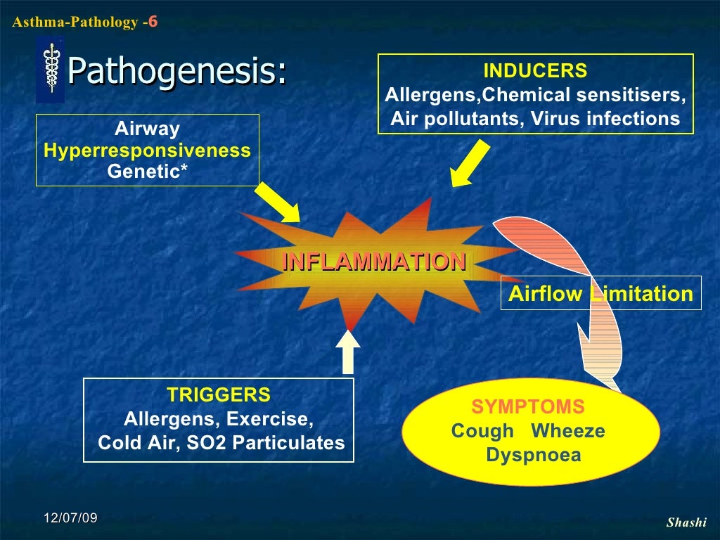 Asthma Pathophysiology N